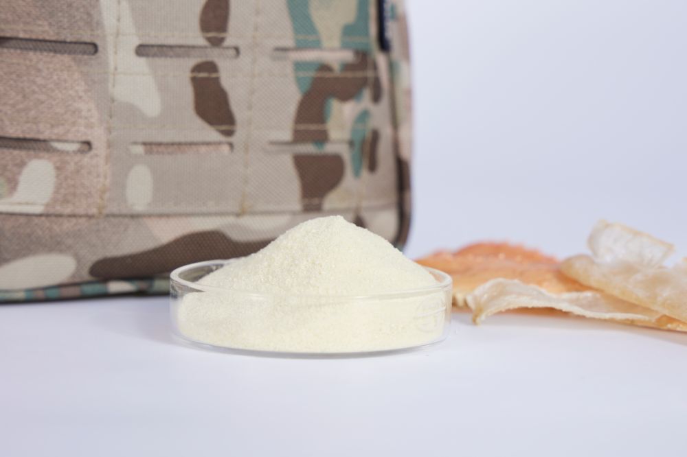Soluble Carboxymethyl Chitosan Powder